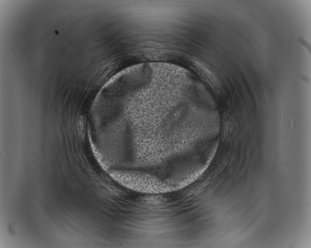 X0000097790121200804041245
