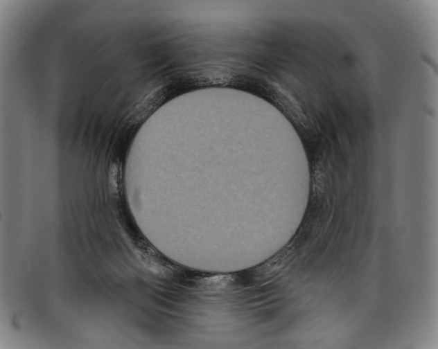 X0000097790122200804041245