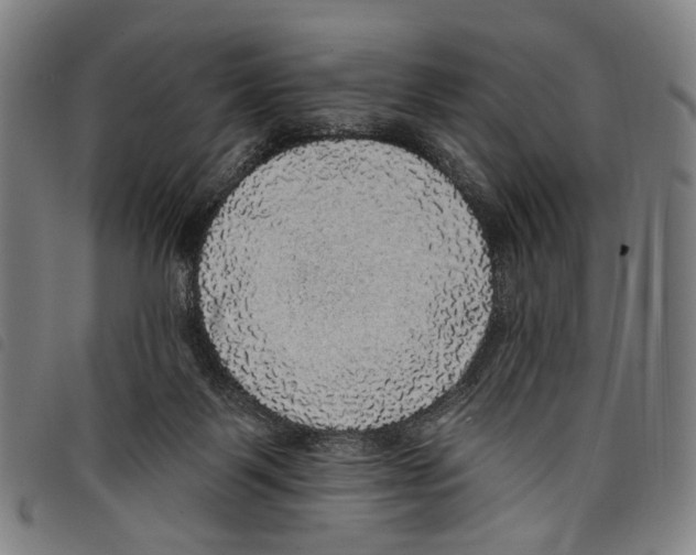 X0000097790123200804041245