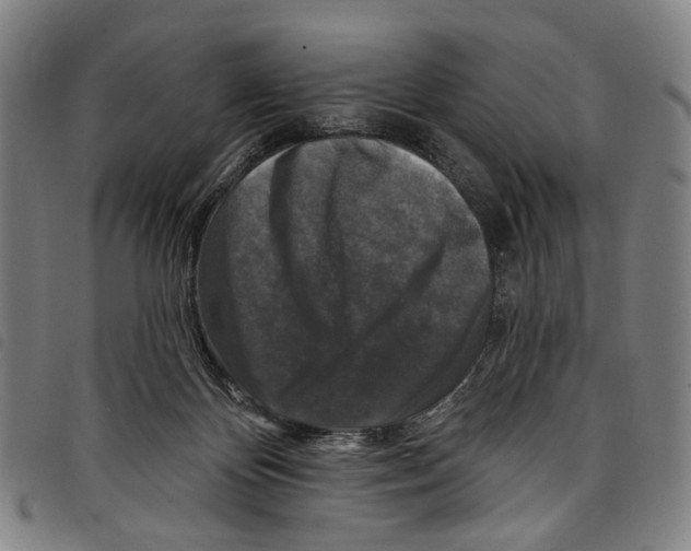 X0000097790124200804041245