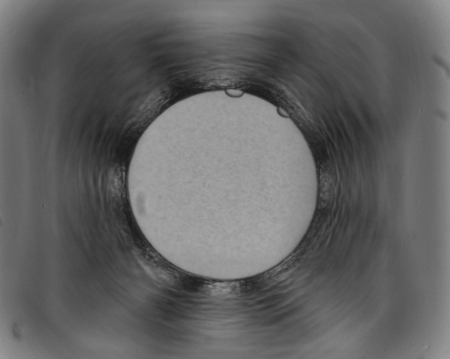 X0000097790126200804041245