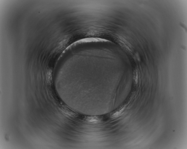 X0000097790127200804041245
