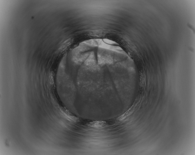 X0000097790128200804041245