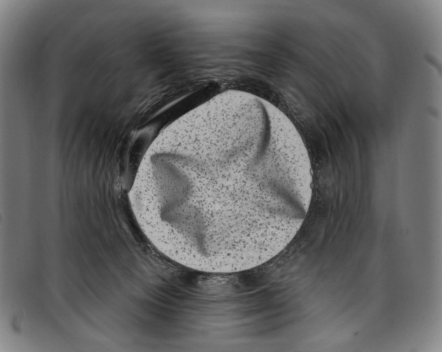 X0000097790129200804041245