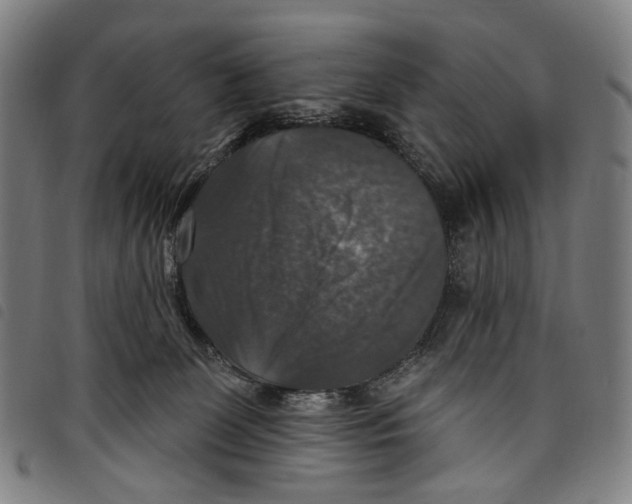X0000097790131200804041244