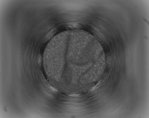 X0000097790132200804041244