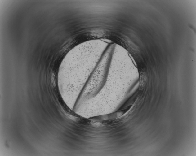 X0000097790136200804041244