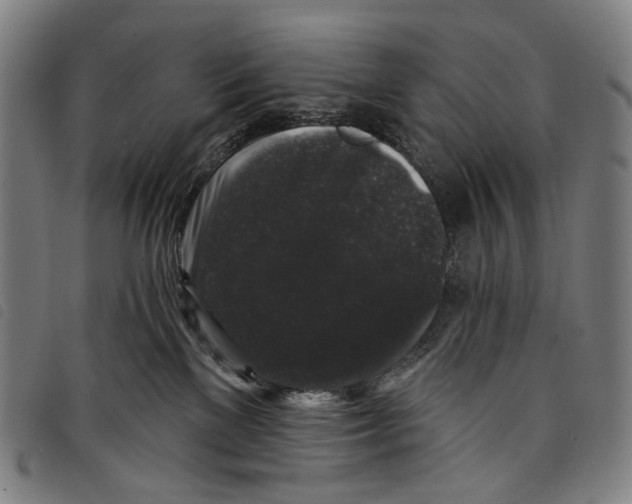 X0000097790137200804041244