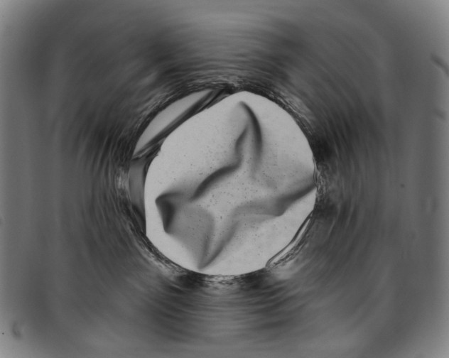 X0000097790141200804041244