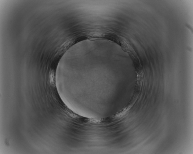 X0000097790143200804041244