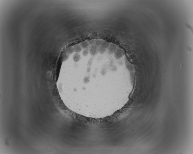 X0000097790144200804041244