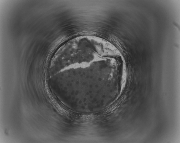 X0000097790145200804041243