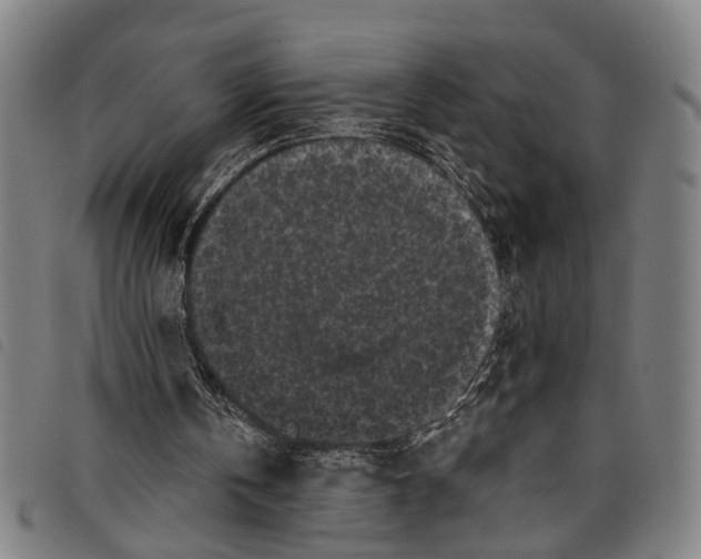 X0000097790146200804041243