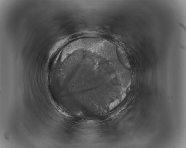 X0000097790149200804041244