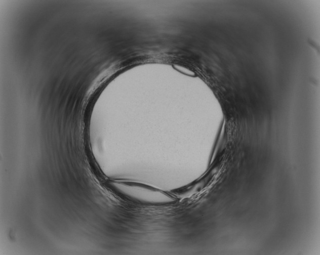 X0000097790150200804041244