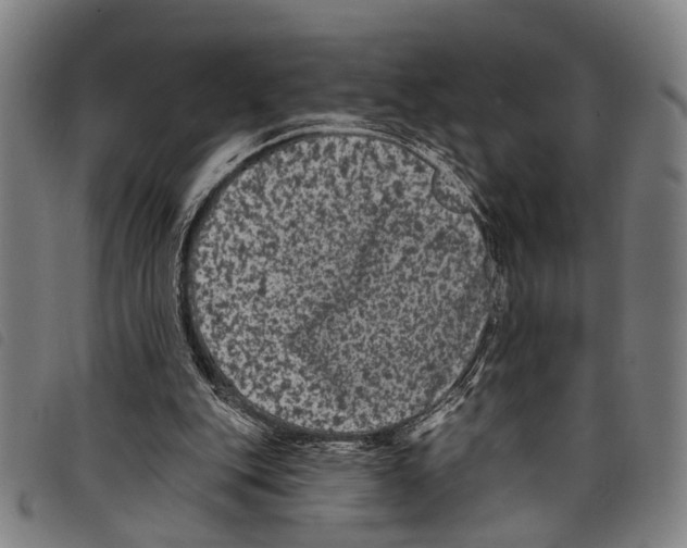X0000097790151200804041244