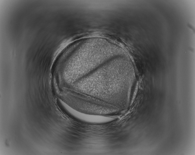 X0000097790152200804041244