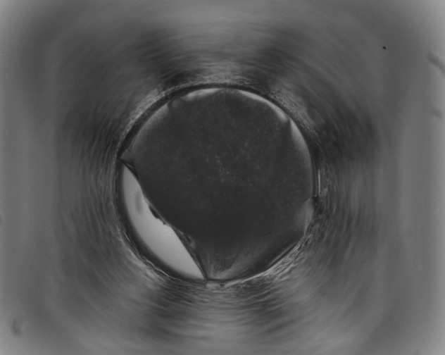 X0000097790156200804041244