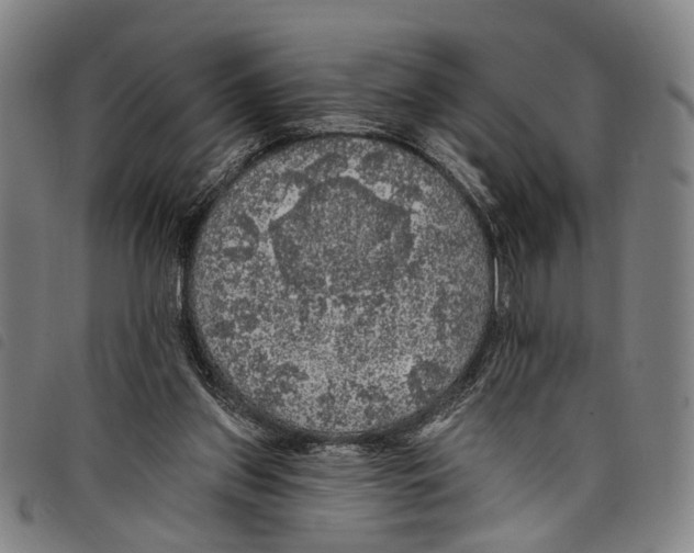 X0000097790157200804041244