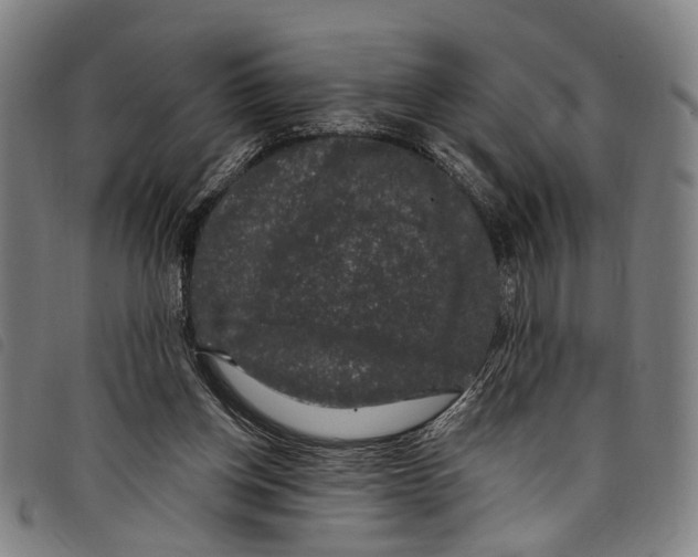 X0000097790158200804041244