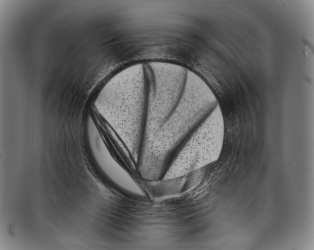 X0000097790160200804041244