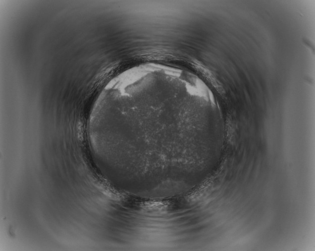 X0000097790161200804041244