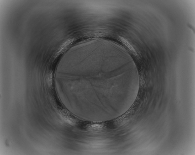 X0000097790163200804041244