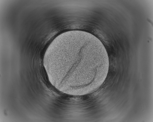 X0000097790164200804041244