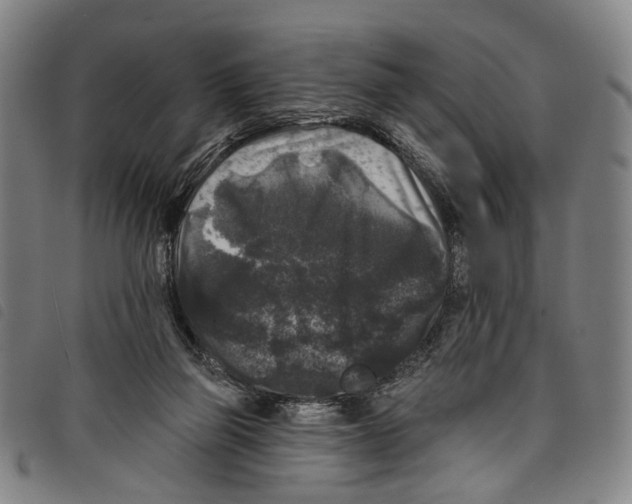 X0000097790165200804041244