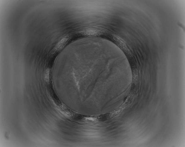 X0000097790167200804041244