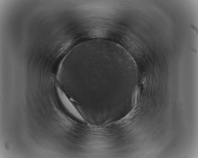 X0000097790168200804041244