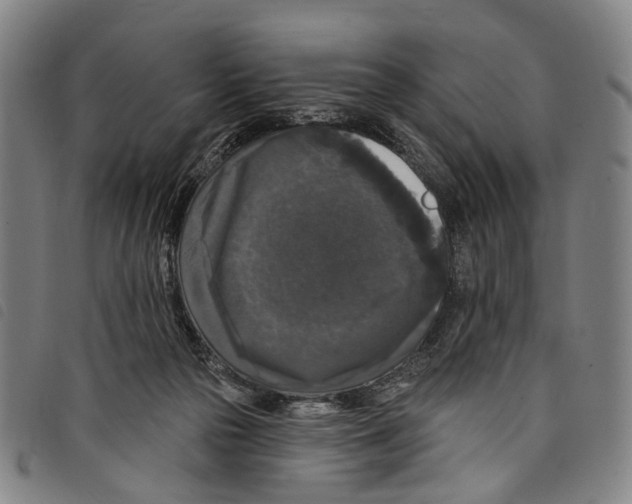 X0000097790169200804041244