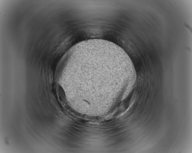 X0000097790170200804041244