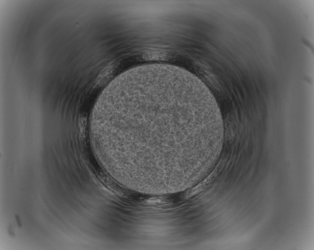 X0000097790171200804041244