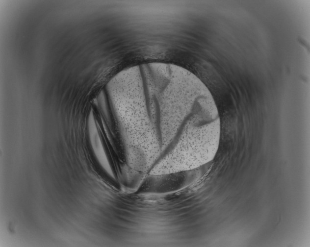 X0000097790172200804041244