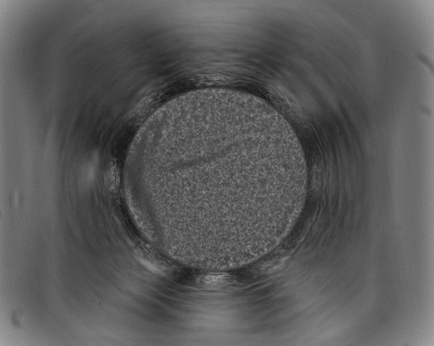 X0000097790173200804041244