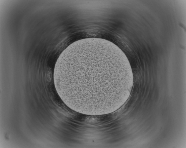 X0000097790174200804041244