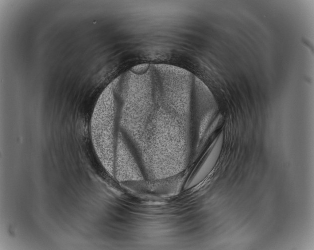 X0000097790176200804041244