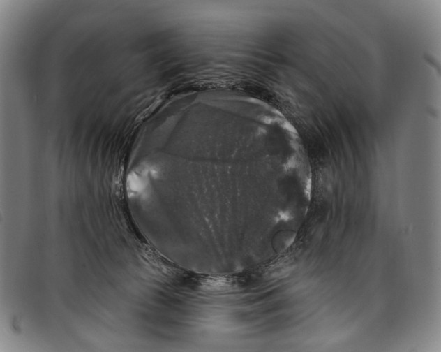 X0000097790177200804041244
