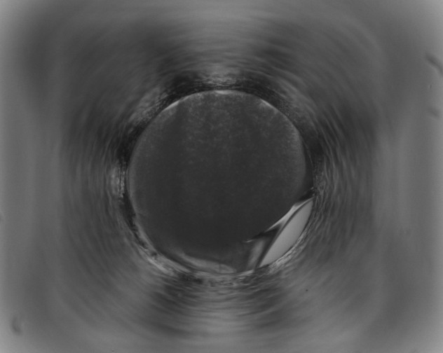X0000097790180200804041244