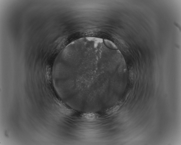X0000097790181200804041244