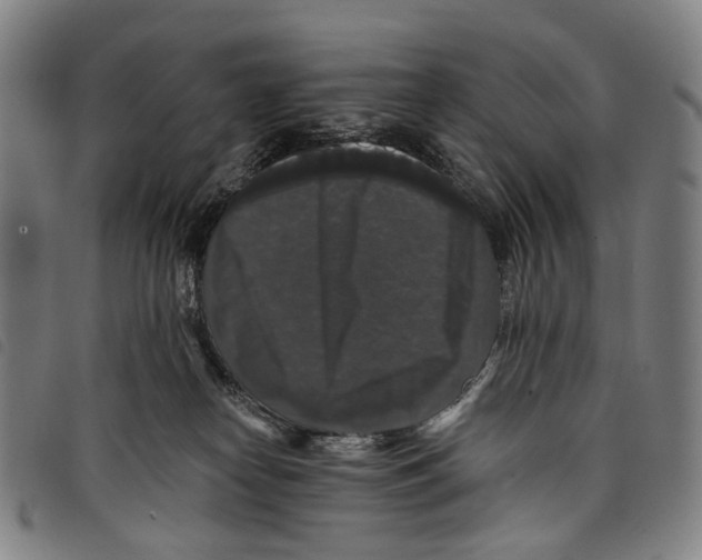X0000097790182200804041244