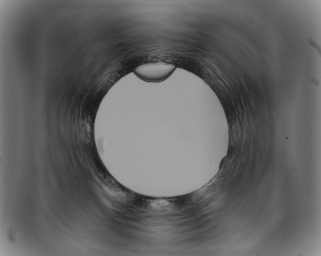 X0000097790183200804041244