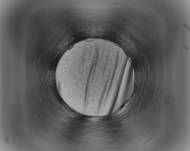 X0000097790184200804041244