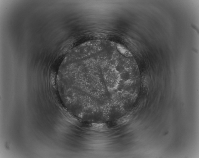 X0000097790185200804041244