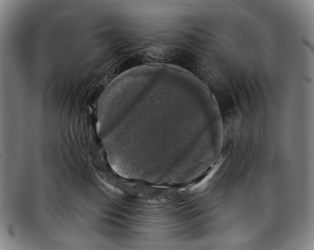 X0000097790186200804041244