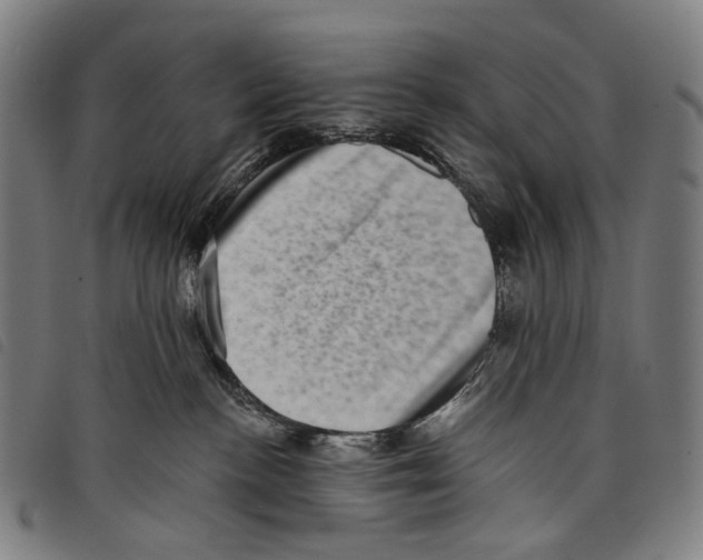 X0000097790188200804041244