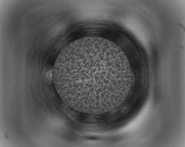 X0000097790190200804041244
