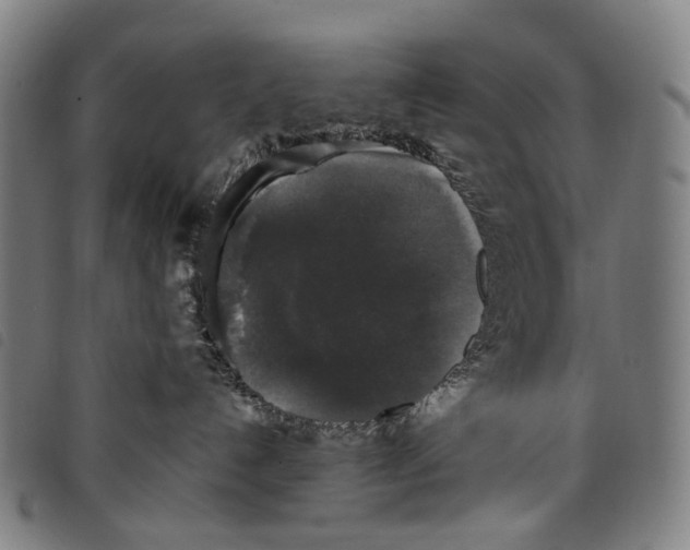 X0000097790192200804041244