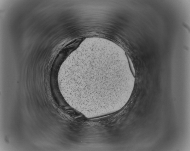 X0000097790193200804041243